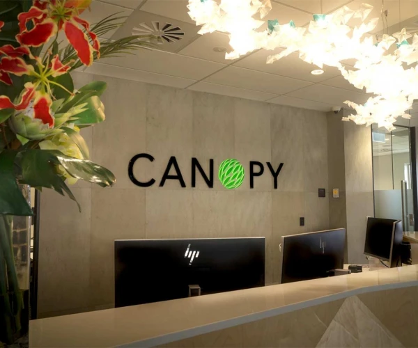 canopy 01